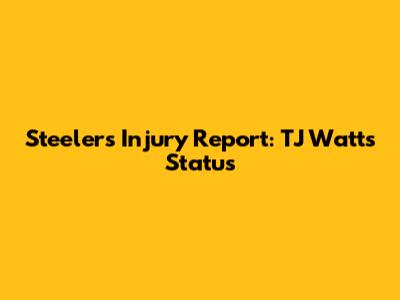 Steelers Injury Report: TJ Watt's Status