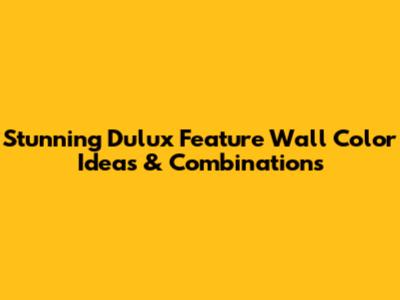 Stunning Dulux Feature Wall Color Ideas & Combinations