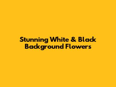 Stunning White & Black Background Flowers
