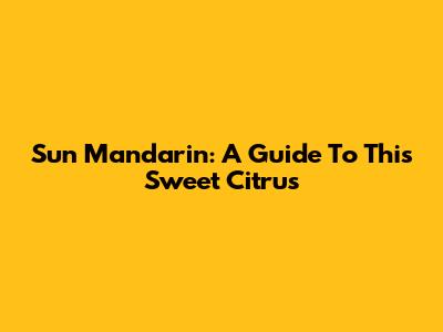 Sun Mandarin: A Guide To This Sweet Citrus