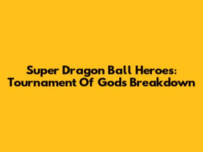 Super Dragon Ball Heroes: Tournament Of Gods Breakdown