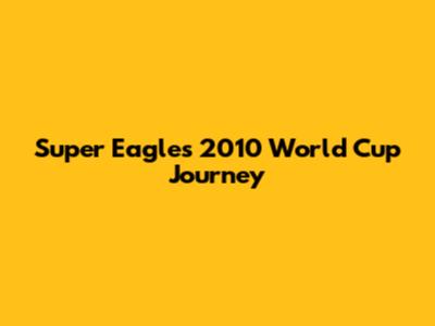 Super Eagles' 2010 World Cup Journey