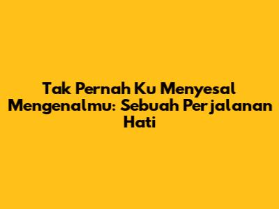 Tak Pernah Ku Menyesal Mengenalmu: Sebuah Perjalanan Hati