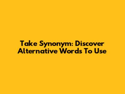 Take Synonym: Discover Alternative Words To Use