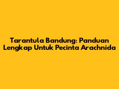 Tarantula Bandung: Panduan Lengkap Untuk Pecinta Arachnida