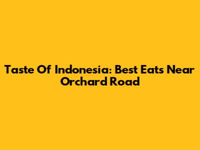Taste Of Indonesia: Best Eats Near Orchard Road