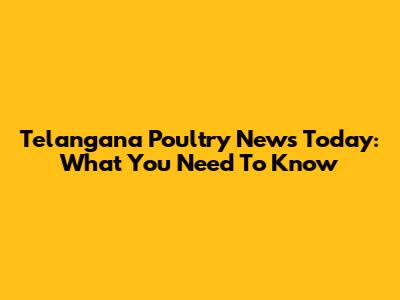 Telangana Poultry News Today: What You Need To Know