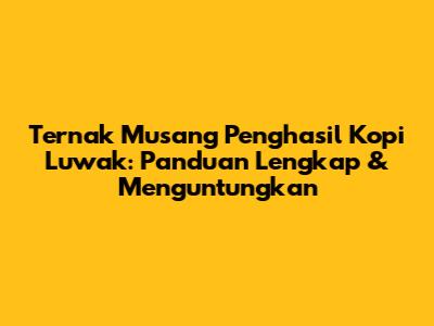 Ternak Musang Penghasil Kopi Luwak: Panduan Lengkap & Menguntungkan