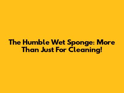 The Humble Wet Sponge: More Than Just For Cleaning!