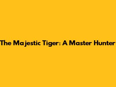 The Majestic Tiger: A Master Hunter
