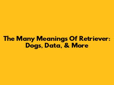 The Many Meanings Of 'Retriever': Dogs, Data, & More