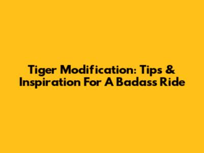 Tiger Modification: Tips & Inspiration For A Badass Ride