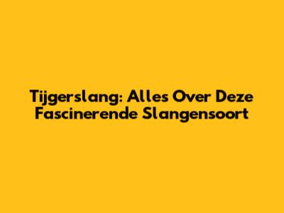 Tijgerslang: Alles Over Deze Fascinerende Slangensoort