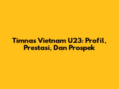 Timnas Vietnam U23: Profil, Prestasi, Dan Prospek
