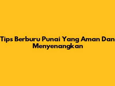 Tips Berburu Punai Yang Aman Dan Menyenangkan