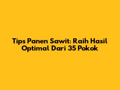 Tips Panen Sawit: Raih Hasil Optimal Dari 35 Pokok