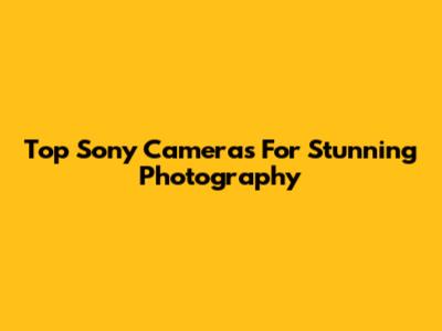 Top Sony Cameras For Stunning Photography