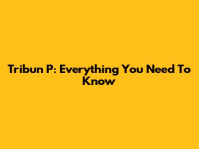 Tribun P: Everything You Need To Know