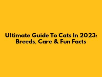 Ultimate Guide To Cats In 2023: Breeds, Care & Fun Facts