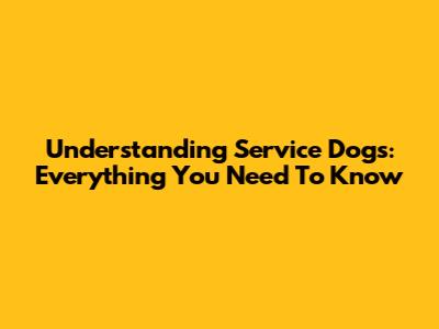 Understanding Service Dogs: Everything You Need To Know