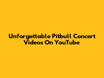 Unforgettable Pitbull Concert Videos On YouTube