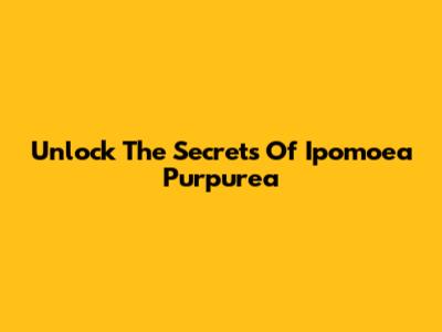 Unlock The Secrets Of Ipomoea Purpurea