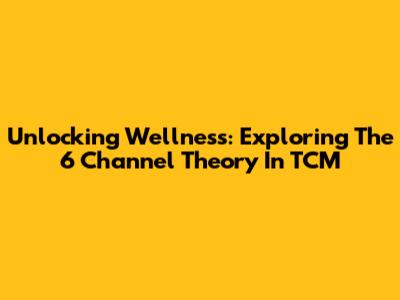 Unlocking Wellness: Exploring The 6 Channel Theory In TCM
