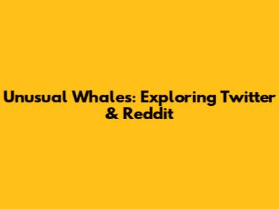 Unusual Whales: Exploring Twitter & Reddit