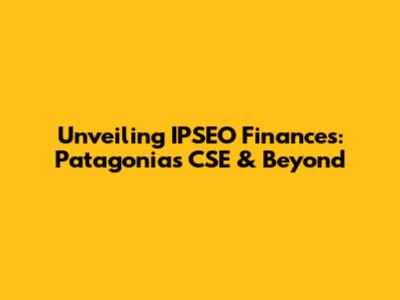 Unveiling IPSEO Finances: Patagonia's CSE & Beyond
