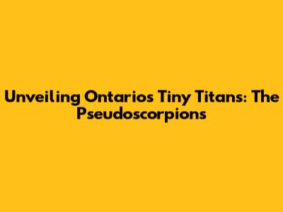 Unveiling Ontario's Tiny Titans: The Pseudoscorpions