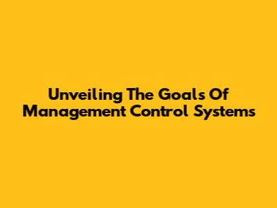 Unveiling The Goals Of Management Control Systems