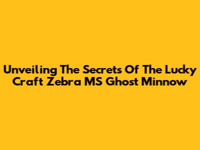 Unveiling The Secrets Of The Lucky Craft Zebra MS Ghost Minnow