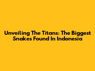 Unveiling The Titans: The Biggest Snakes Found In Indonesia