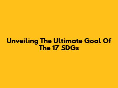 Unveiling The Ultimate Goal Of The 17 SDGs