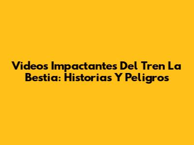 Videos Impactantes Del Tren "La Bestia": Historias Y Peligros