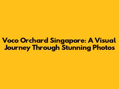 Voco Orchard Singapore: A Visual Journey Through Stunning Photos