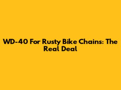 WD-40 For Rusty Bike Chains: The Real Deal