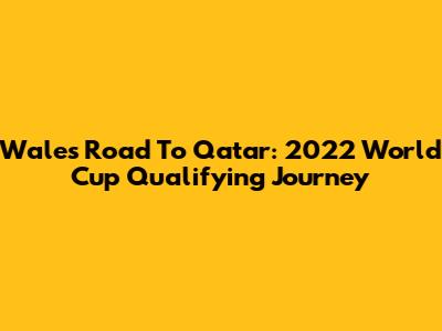 Wales' Road To Qatar: 2022 World Cup Qualifying Journey