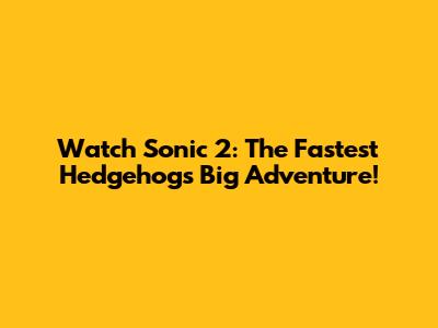 Watch Sonic 2: The Fastest Hedgehog's Big Adventure!