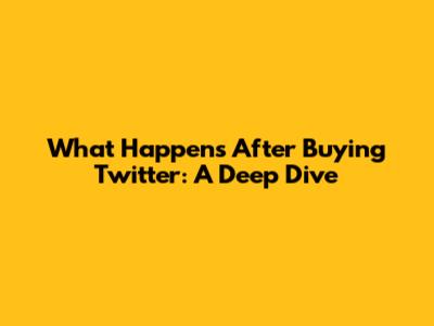What Happens After Buying Twitter: A Deep Dive