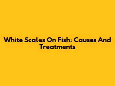 White Scales On Fish: Causes And Treatments