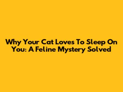 Why Your Cat Loves To Sleep On You: A Feline Mystery Solved