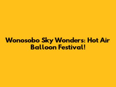 Wonosobo Sky Wonders: Hot Air Balloon Festival!