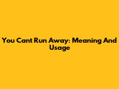 You Can't Run Away: Meaning And Usage