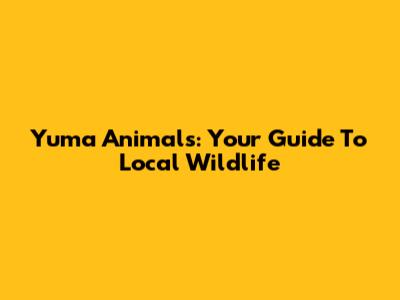 Yuma Animals: Your Guide To Local Wildlife