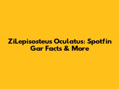 ZiLepisosteus Oculatus: Spotfin Gar Facts & More