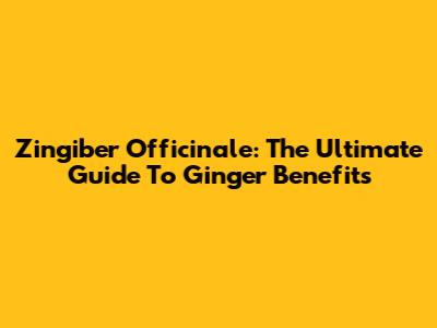 Zingiber Officinale: The Ultimate Guide To Ginger Benefits