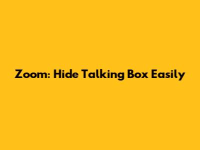 Zoom: Hide Talking Box Easily